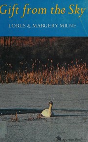 Cover of Gift from the Sky by Lorus Johnson Milne