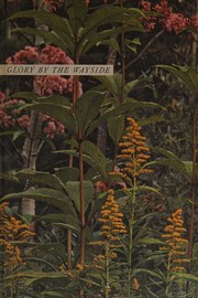 Cover of: Glory By The Wayside by Torkel Korling, Torkel Korling