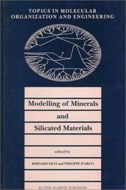 Modelling of minerals and silicated materials cover
