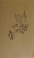 Cover of: The innocents from Indiana