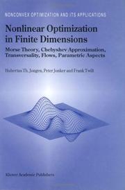 Cover of: Nonlinear Optimization in Finite Dimensions - Morse Theory, Chebyshev Approximation, Transversality, Flows, Parametric Aspects (Nonconvex Optimization and its Applications Volume 47)
