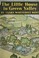 Cover of: The little house in Green valley