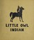 Cover of: Little Owl Indian