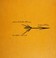 Cover of: Oscar Niemeyer