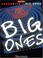 Cover of: Aerosmith - Big Ones*