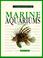 Cover of: Marine Aquariums