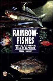 Rainbow Fishes by Derek Lambert