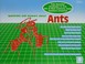 Cover of: Questions and answers about ants