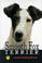 Cover of: Smooth fox terrier