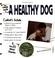 Cover of: The simple guide to a healthy dog