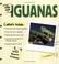 Cover of: The Simple Guide to Iguanas (Simple Guide to...)