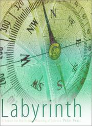 Cover of: Labyrinth: A Search for the Hidden Meaning of Science