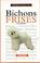 Cover of: A New Owner's Guide to Bichons Frises