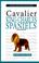 Cover of: A New Owners Guide to Cavalier King Charles Spaniels (New Owner's Guide To...)