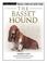 Cover of: The Basset Hound (Terra-Nova)