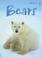 Cover of: Bears, Level 1