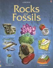 Cover of: Rocks & Fossils (Hobby Guides) by Martyn Bramwell