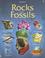Cover of: Rocks & Fossils (Hobby Guides)