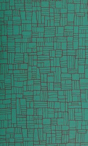 Cover of: THE SHAPES OF SLEEP - A Topical Tale