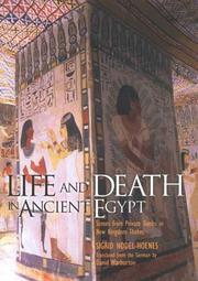 Cover of: Life and Death in Ancient Egypt by Sigrid Hodel-Hoenes