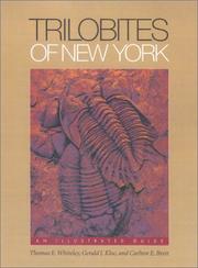 Cover of: Trilobites of New York: An Illustrated Guide (Comstock Books)