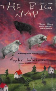 Cover of: [(The Big Nap)] [By (author) Ayelet Waldman] published on (July, 2002)