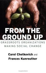 Cover of: From the Ground Up by Carol Chetkovich, Frances Kunreuther