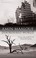 Cover of: Disordered World