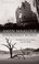 Cover of: Disordered World