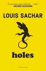 Cover of: Holes