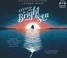 Cover of: Beyond the Bright Sea
