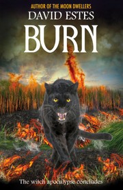 Cover of: [The Chronos Files Universe 01] • Burn: The Witch Apocalypse Continues