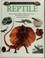 Cover of: Reptile