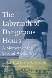 Cover of: The Labyrinth of Dangerous Hours | Lilka Croydon-Trzcinska