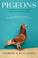 Cover of: Pigeons