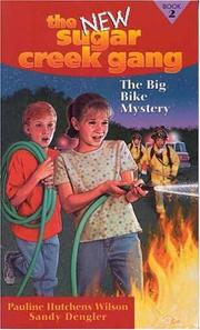 Cover of: The big bike mystery