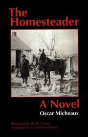 Cover of: The homesteader: a novel
