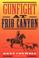 Cover of: Gunfight at Frio Canyon
