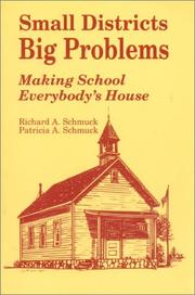 Small districts, big problems by Richard A. Schmuck