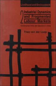 Cover of: Industrial dynamics and fragmented labour markets by Theo van der Loop
