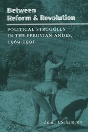 Cover of: Between reform & revolution: political struggles in the Peruvian Andes, 1969-1991
