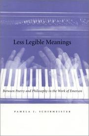 Cover of: Less Legible Meanings by Pamela Schirmeister