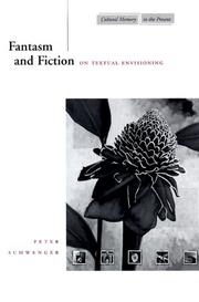 Cover of: Fantasm and fiction: on textual envisioning