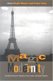 Cover of: Magic and Modernity: Interfaces of Revelation and Concealment