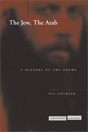 Cover of: The Jew, the Arab: A History of the Enemy (Cultural Memory in the Present)