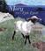 Cover of: Mary was a little lamb