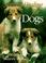 Cover of: Natural healing for dogs