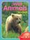 Cover of: Wild animals