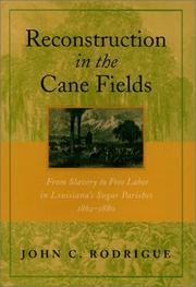 Reconstruction in the cane fields by John C. Rodrigue