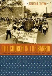 The church in the barrio by Roberto R. Treviño